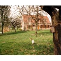 Region Gent, Belgien 2